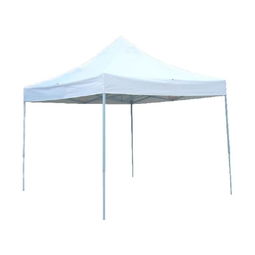 青岛专业庆典礼仪策划服务 一站式活动解决方案