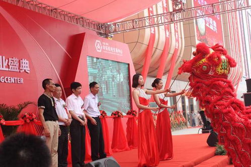 新乡礼仪、模特与翻译服务综合指南